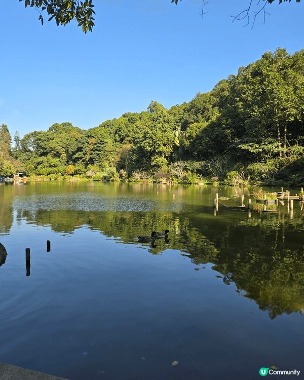 位於深圳市東北郊的仙湖植物公園是老幼家庭歡聚的好地方，全園分...