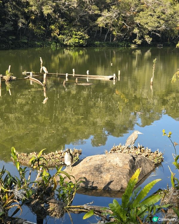 位於深圳市東北郊的仙湖植物公園是老幼家庭歡聚的好地方，全園分...
