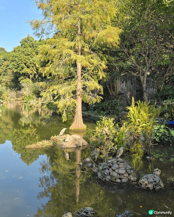 位於深圳市東北郊的仙湖植物公園是老幼家庭歡聚的好地方，全園分...