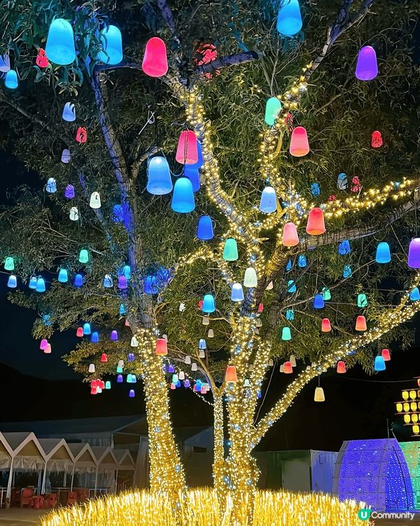 呢度係元朗大棠有機生態園嘅光影節，夜晚嘅時候呢可以打卡影相，...