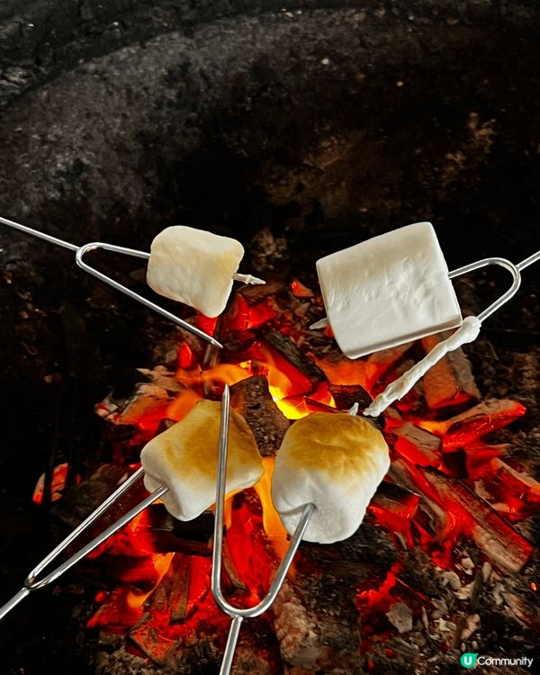 大埔舊麥師傅bbq場，轉換欖燒烤，可以打邊爐同時間bbq，野...