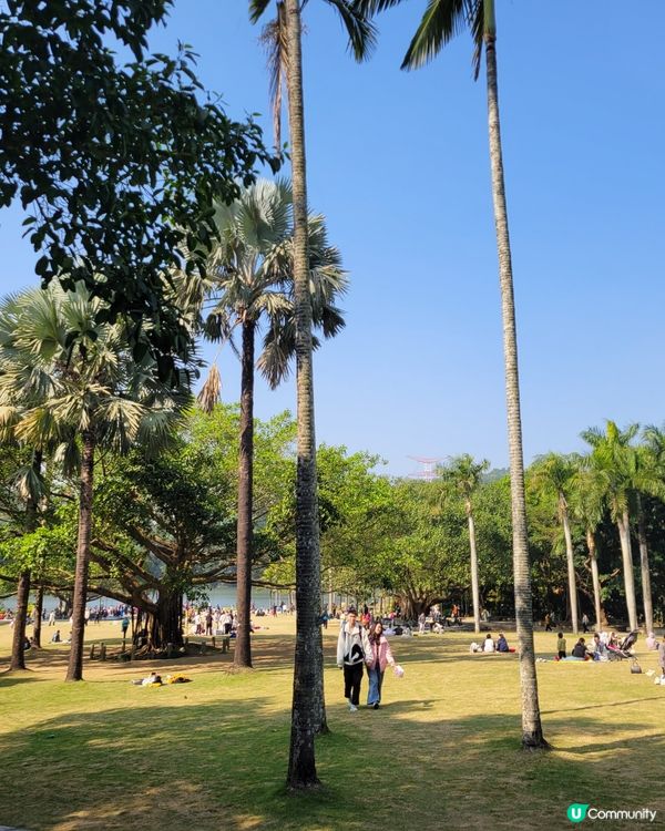 深圳仙湖公園