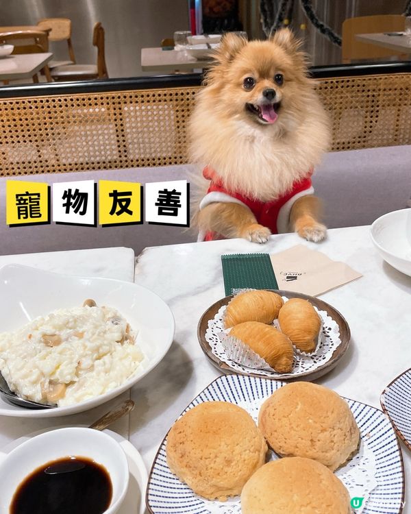 發現將軍澳海景點心🫣💕