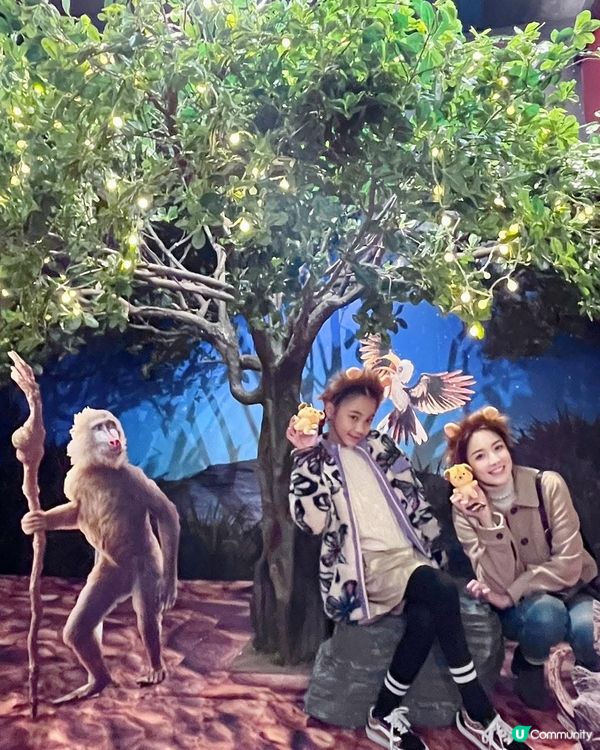 🦁 木法沙帶你重返非洲！打卡位必去！