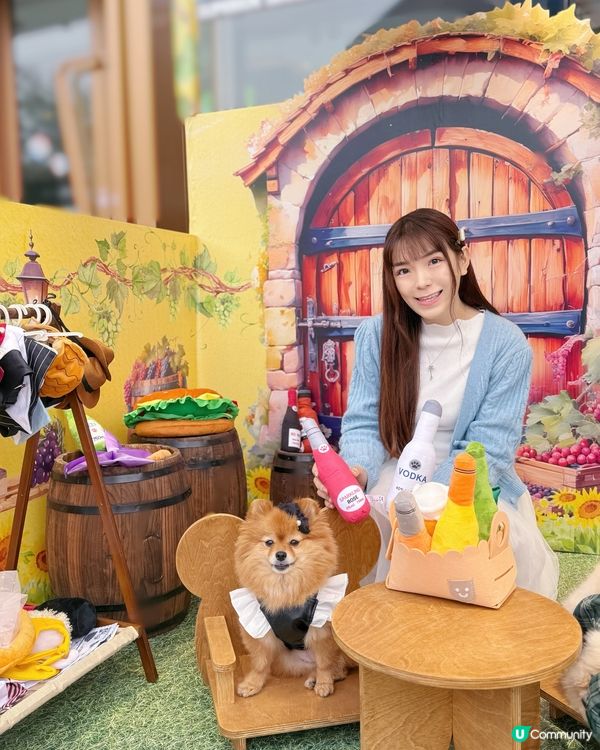 🌟歎盡美酒+美食😋!北角匯醇酒美食嘉年華