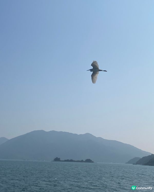 《週末遊港》露營聖地 「塔門 」⛴️馬料水搭船入塔門🗺️