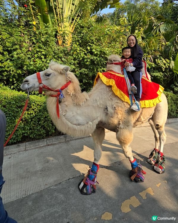 難得的動物體驗🤩