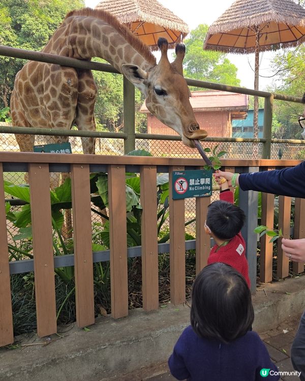 難得的動物體驗🤩