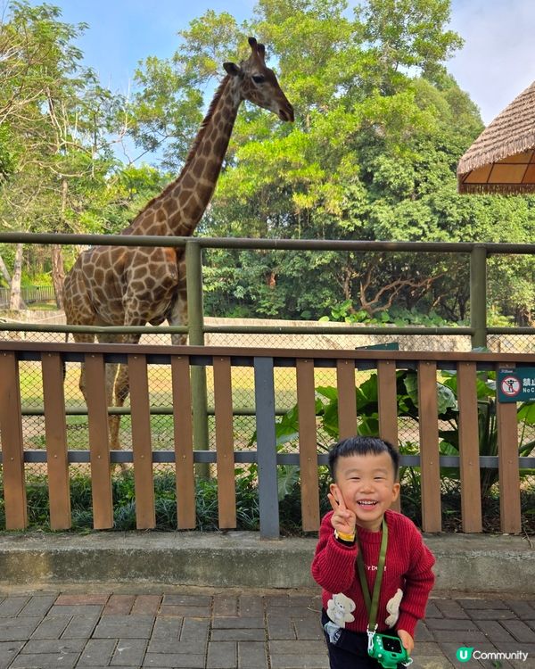 難得的動物體驗🤩