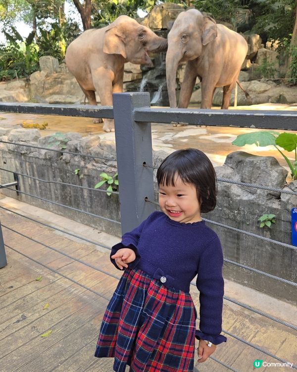 難得的動物體驗🤩