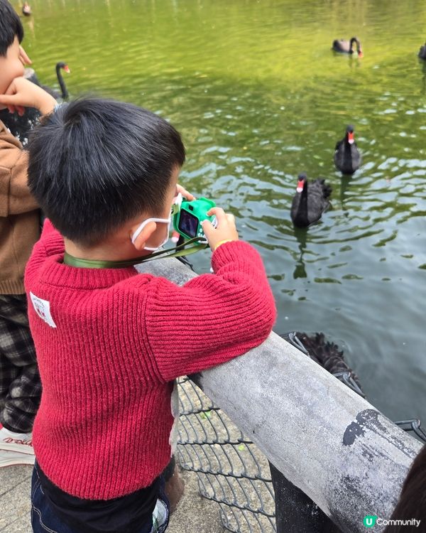 難得的動物體驗🤩