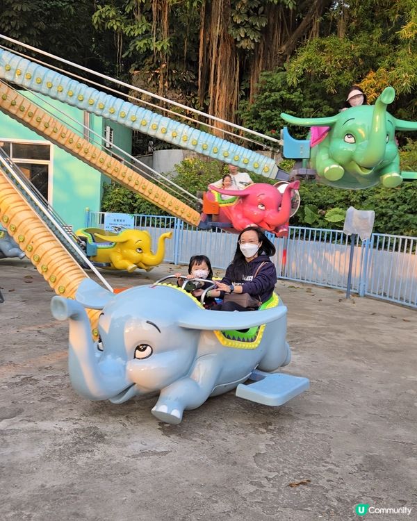 難得的動物體驗🤩