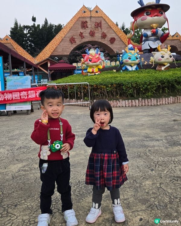 難得的動物體驗🤩