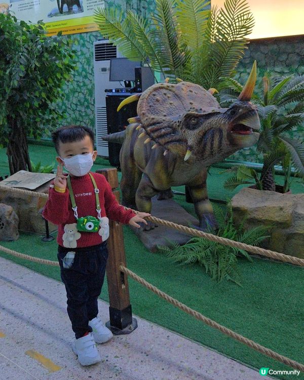 難得的動物體驗🤩