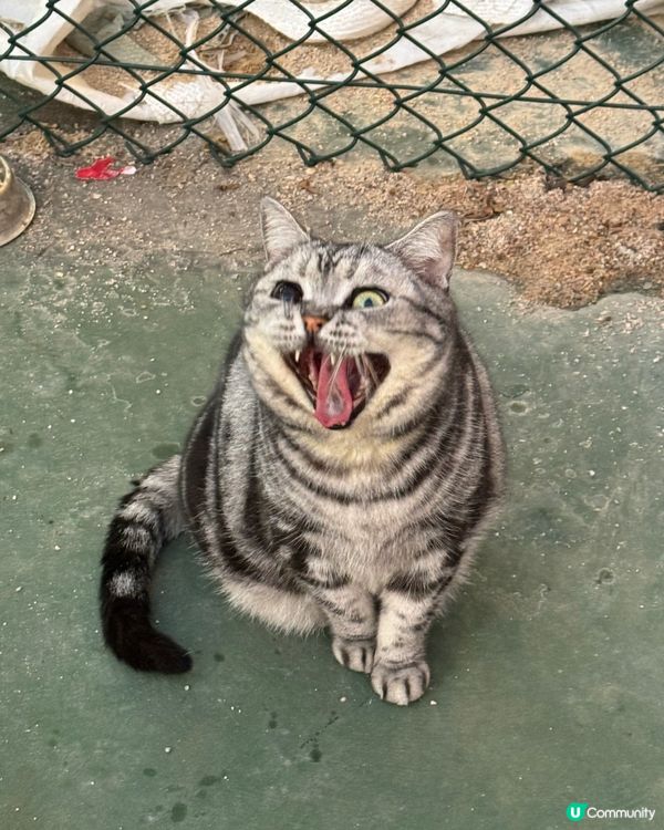 極方便遠離市區走一走🌾