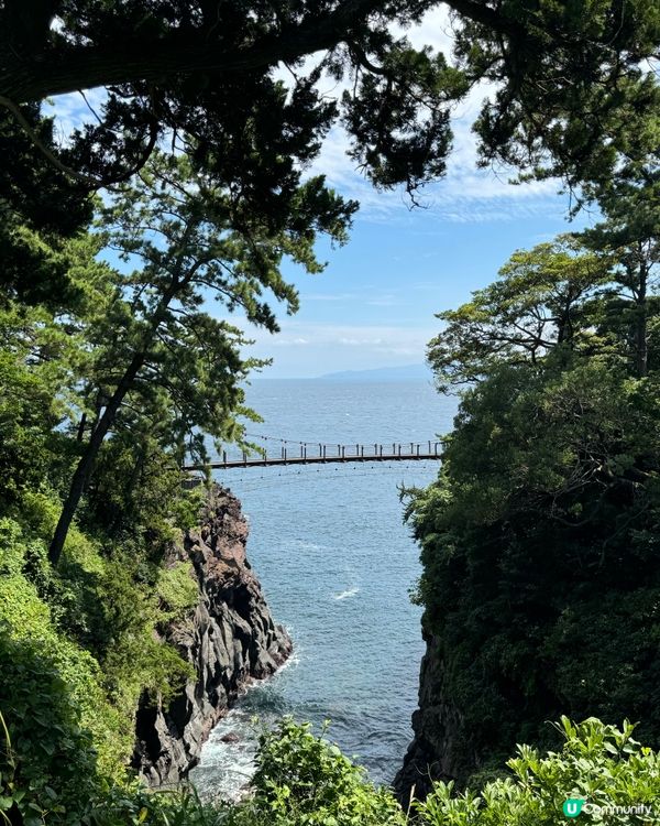 日本東京伊豆大室山🇯🇵大室所望👀