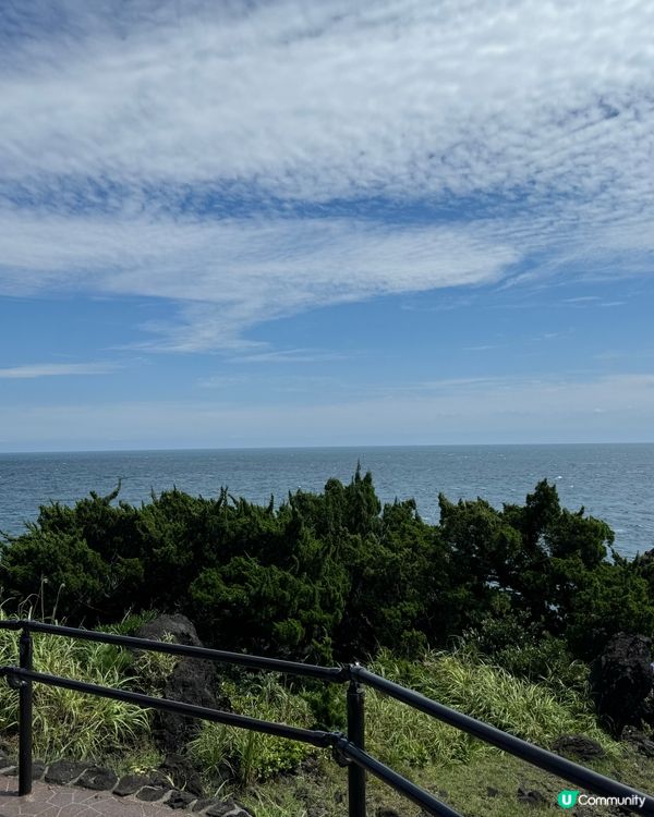 日本東京伊豆大室山🇯🇵大室所望👀