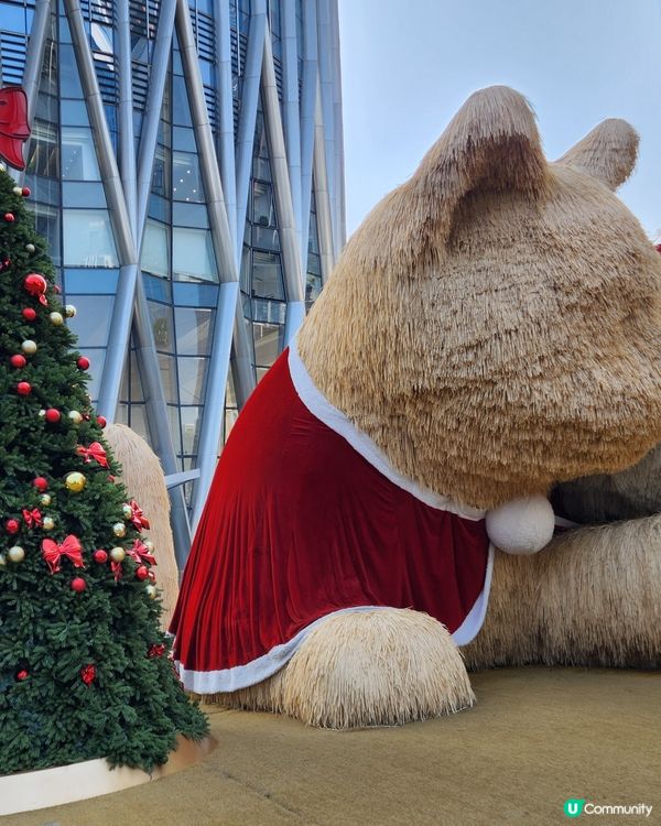 Pokémon主題嘉年華