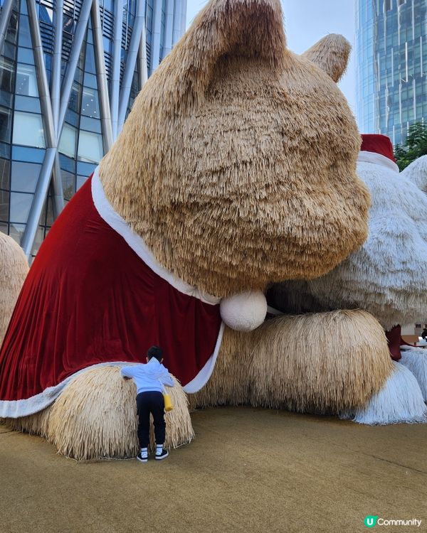 Pokémon主題嘉年華