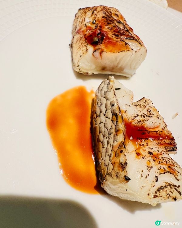 海鮮燒烤｜魚子醬｜深圳前海艾美酒店自助餐｜全日餐廳