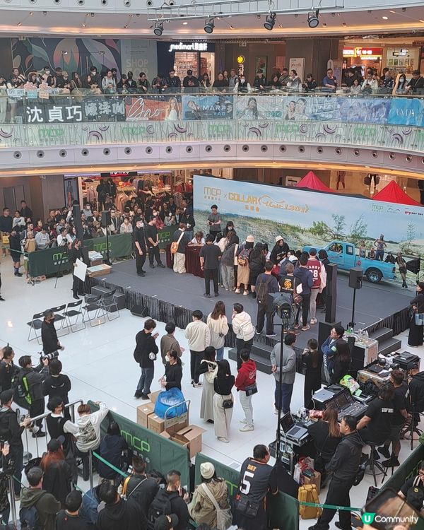 COLLAR的吸引力可見一斑