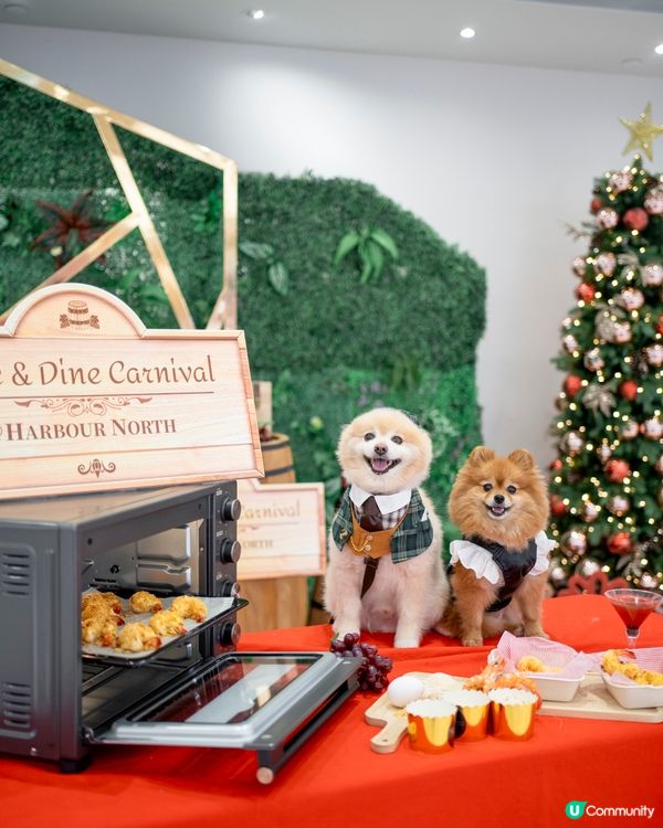 北角匯｜2025年全港首個海旁美酒美食市集 