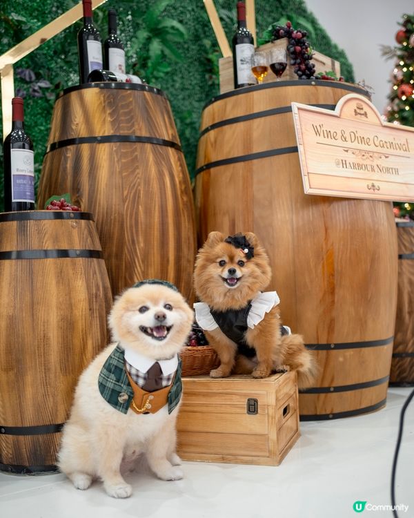 北角匯｜2025年全港首個海旁美酒美食市集 