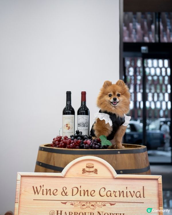 北角匯｜2025年全港首個海旁美酒美食市集 