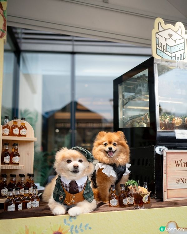 北角匯｜2025年全港首個海旁美酒美食市集 