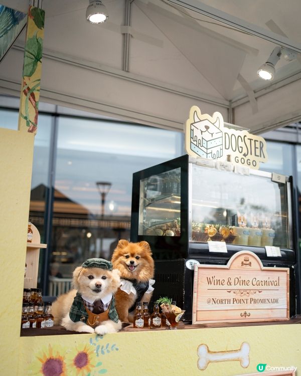 北角匯｜2025年全港首個海旁美酒美食市集 