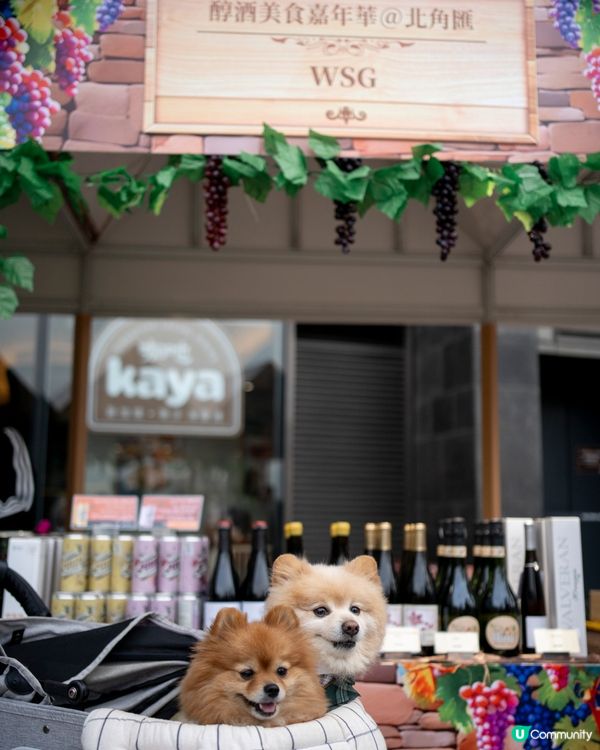 北角匯｜2025年全港首個海旁美酒美食市集 