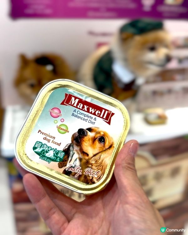 北角匯｜2025年全港首個海旁美酒美食市集 