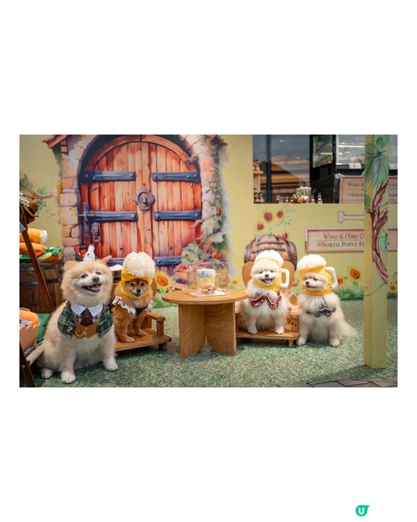 北角匯｜2025年全港首個海旁美酒美食市集 