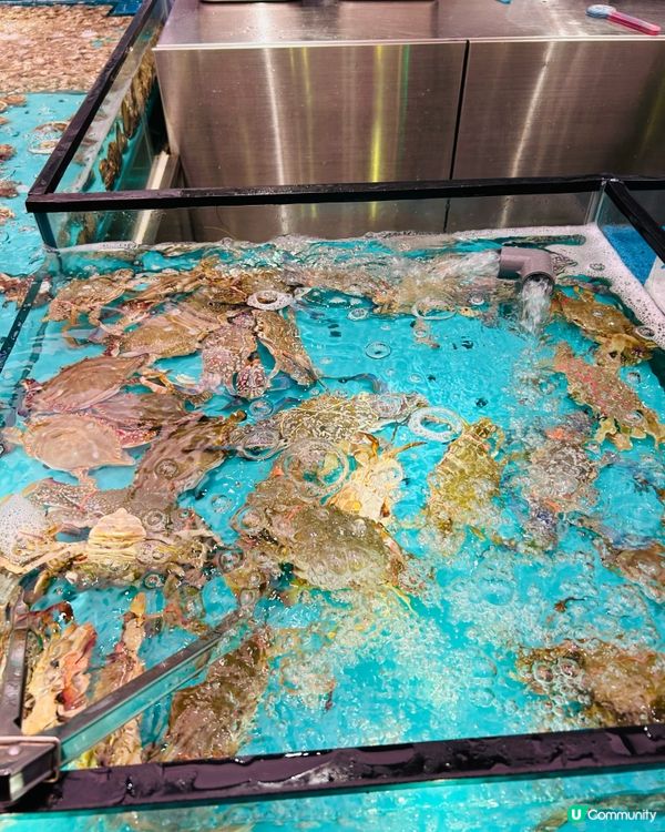 仼食仼撈海鮮放題🦐