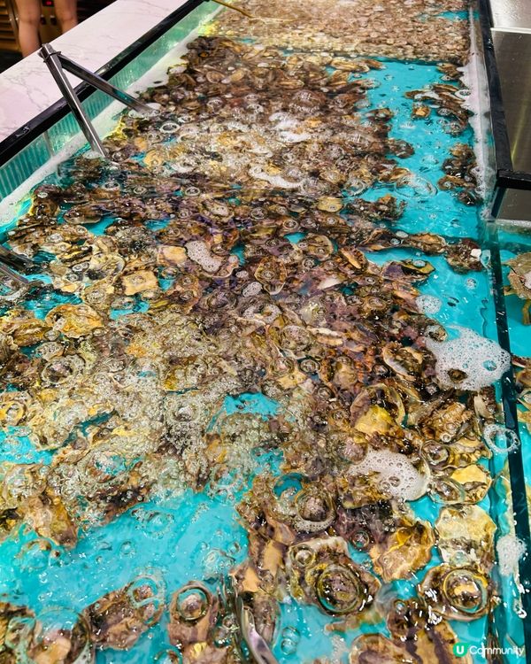 仼食仼撈海鮮放題🦐