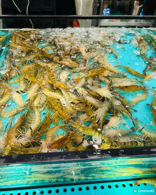 仼食仼撈海鮮放題🦐