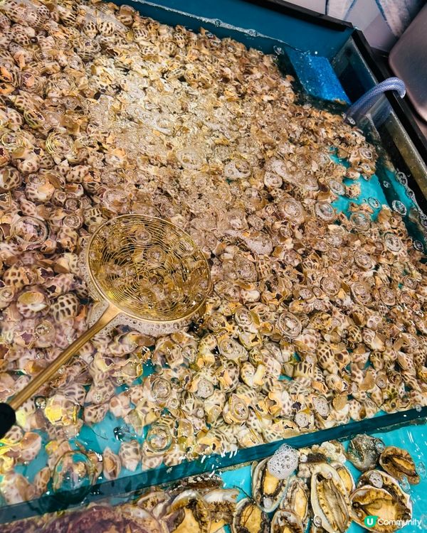 仼食仼撈海鮮放題🦐