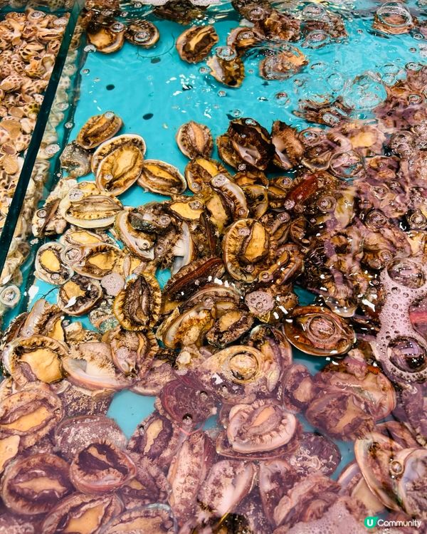 仼食仼撈海鮮放題🦐