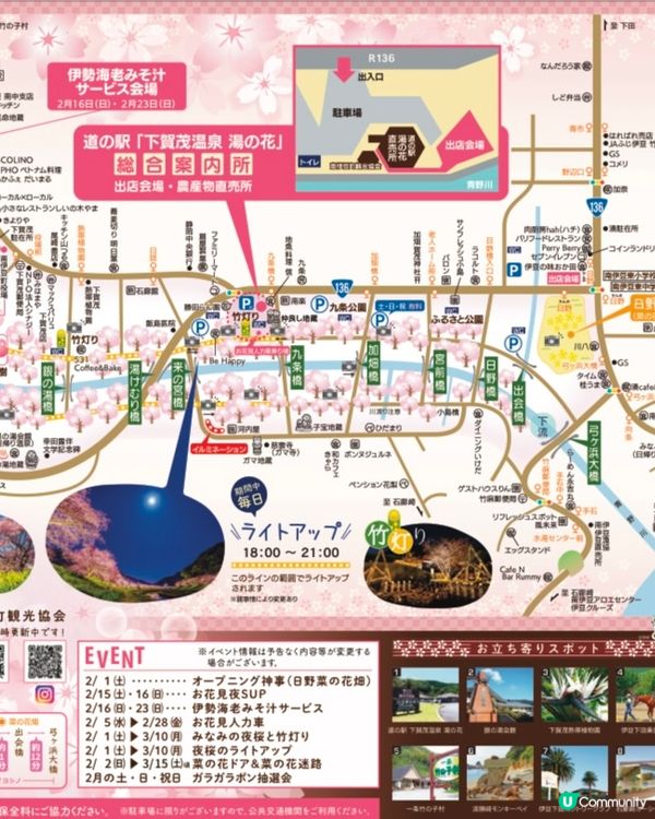 【📣賞花啦🌸】南伊豆町的南櫻與油菜花祭