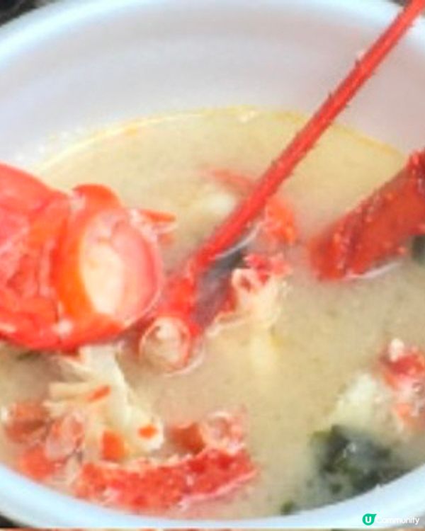 【📣賞花啦🌸】南伊豆町的南櫻與油菜花祭