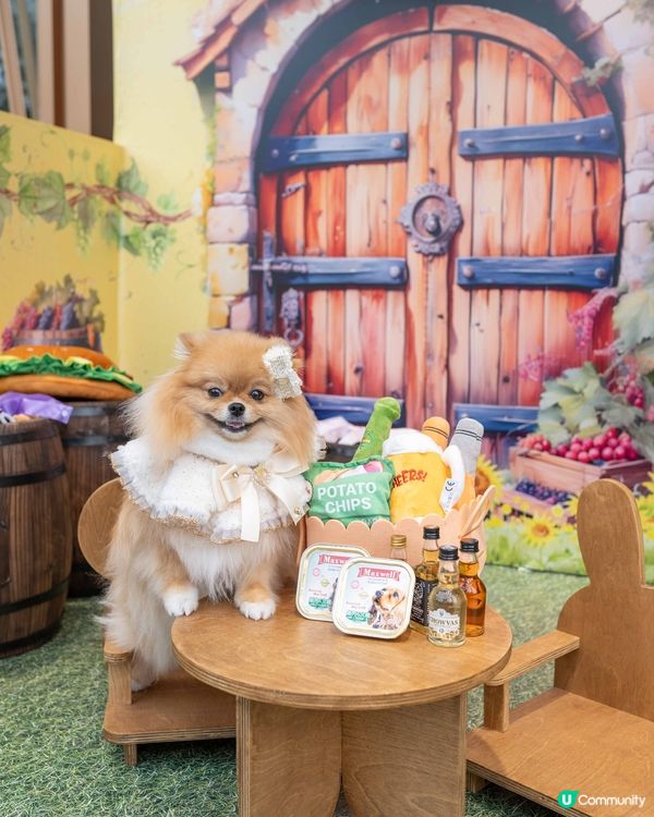 2025北角匯「醇酒美食嘉年華」🥂