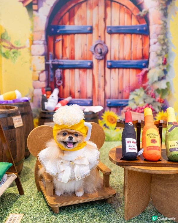 2025北角匯「醇酒美食嘉年華」🥂