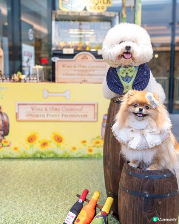 2025北角匯「醇酒美食嘉年華」🥂