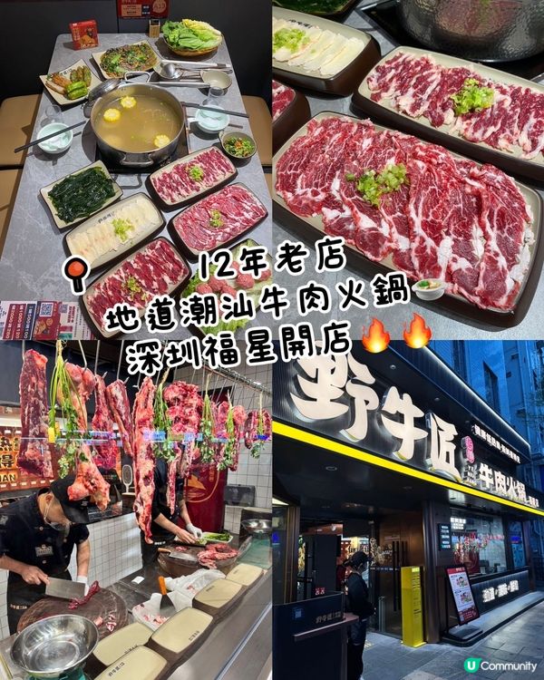 深圳福星 | 野牛匠潮汕牛肉火鍋 🐂🔥 12年老店，正宗味道