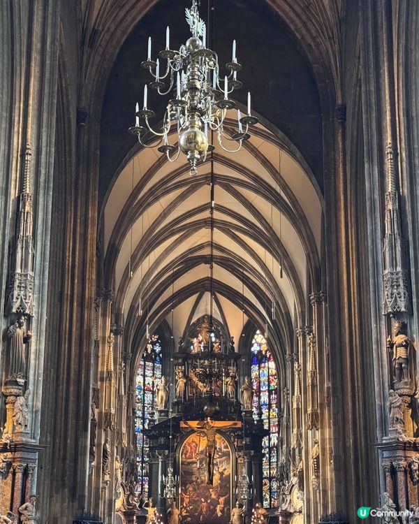 維也納聖誕之旅