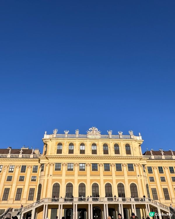 維也納聖誕之旅
