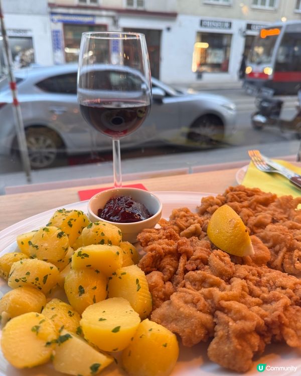 維也納聖誕之旅