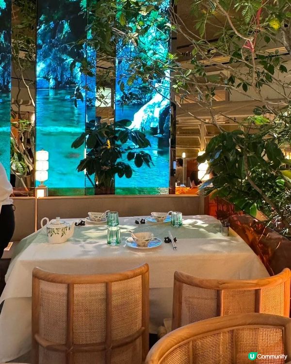 桂滿隴，深圳必打卡！🤩