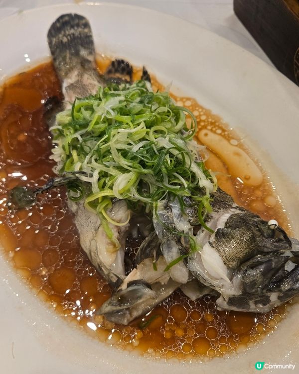 烹調到位，蒸到剛剛好的一尾海上鮮