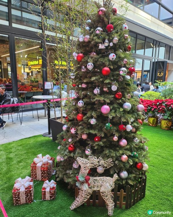 中環街市聖誕迪士尼貓狗真熱鬧